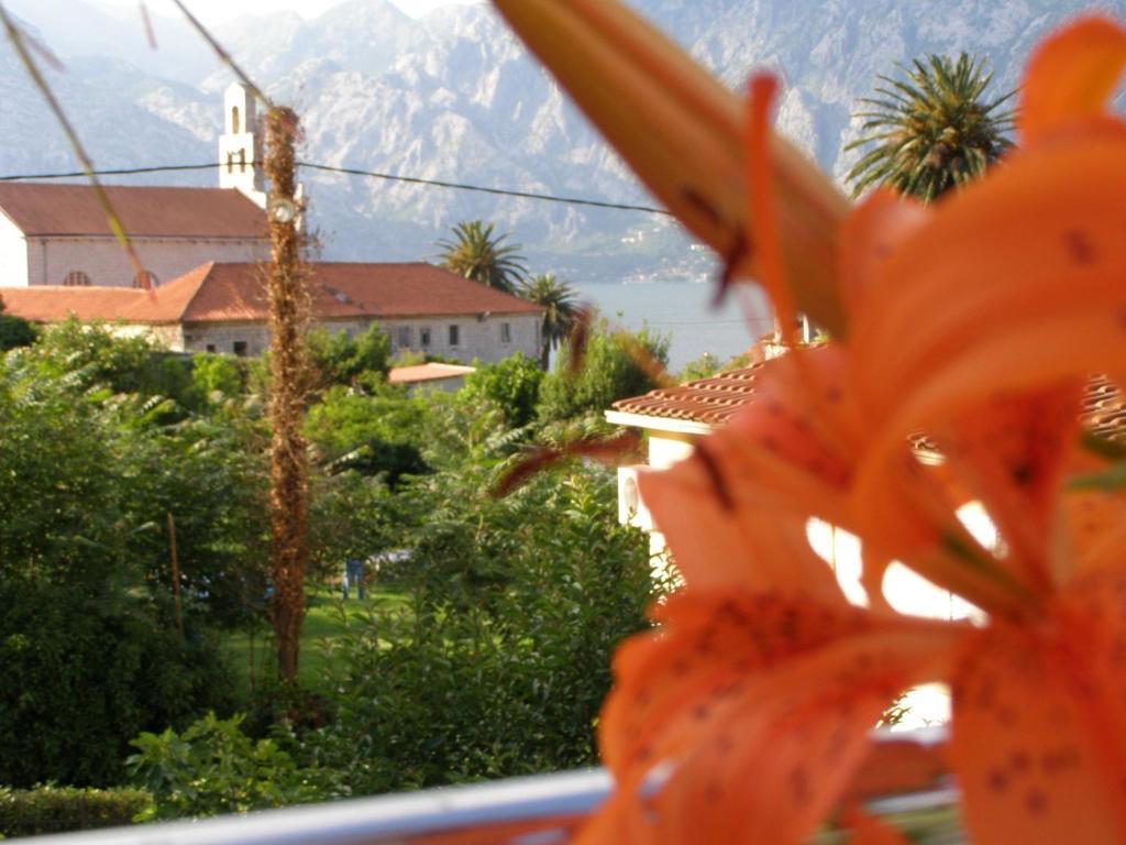 Djurovic Apartments Montenegro Cattaro Camera foto