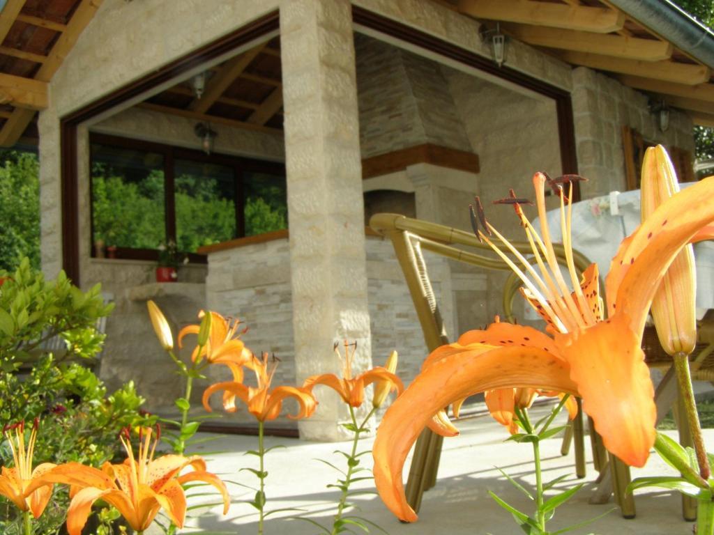 Djurovic Apartments Montenegro Cattaro Camera foto